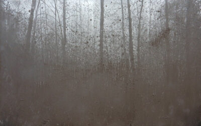 Grey Paintings de Pablo González Trejo