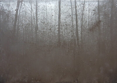 Pablo Gonzalez-Trejo, Forest, 130 x 200 cm, Grafito sobre tela, 2013
