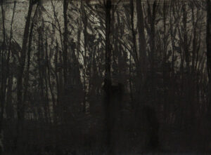 Pablo Gonzalez-Trejo, Forest, 20.5 x 29 cm, Técnica Mixta sobre papel, 2013.jpg
