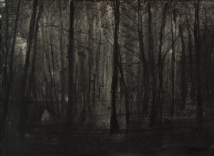 Pablo Gonzalez-Trejo, Forest, 20.5 x 29 cm, Técnica Mixta sobre papel, 2013