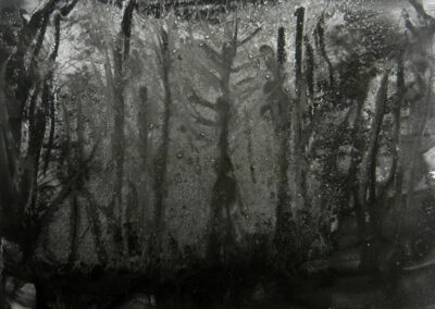 Pablo Gonzalez-Trejo, Forest, 20.5 x 29 cm, Técnica Mixta sobre papel, 2013