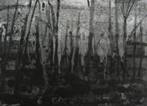 Pablo Gonzalez-Trejo, Forest, 20.5 x 29 cm, Técnica Mixta sobre papel, 2013