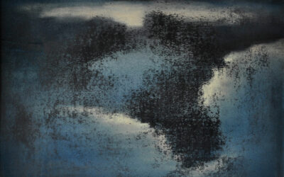 Ombres et Paysages de Laurent de Raucourt